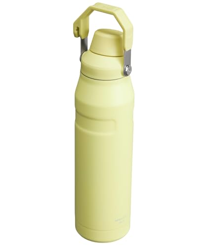Stanley IceFlow Fast Flow Water Bottle | Angled Spout Lid | Lightweight & Leakproof for Travel & Sports | Insulated Stainless Steel | BPA-Free
