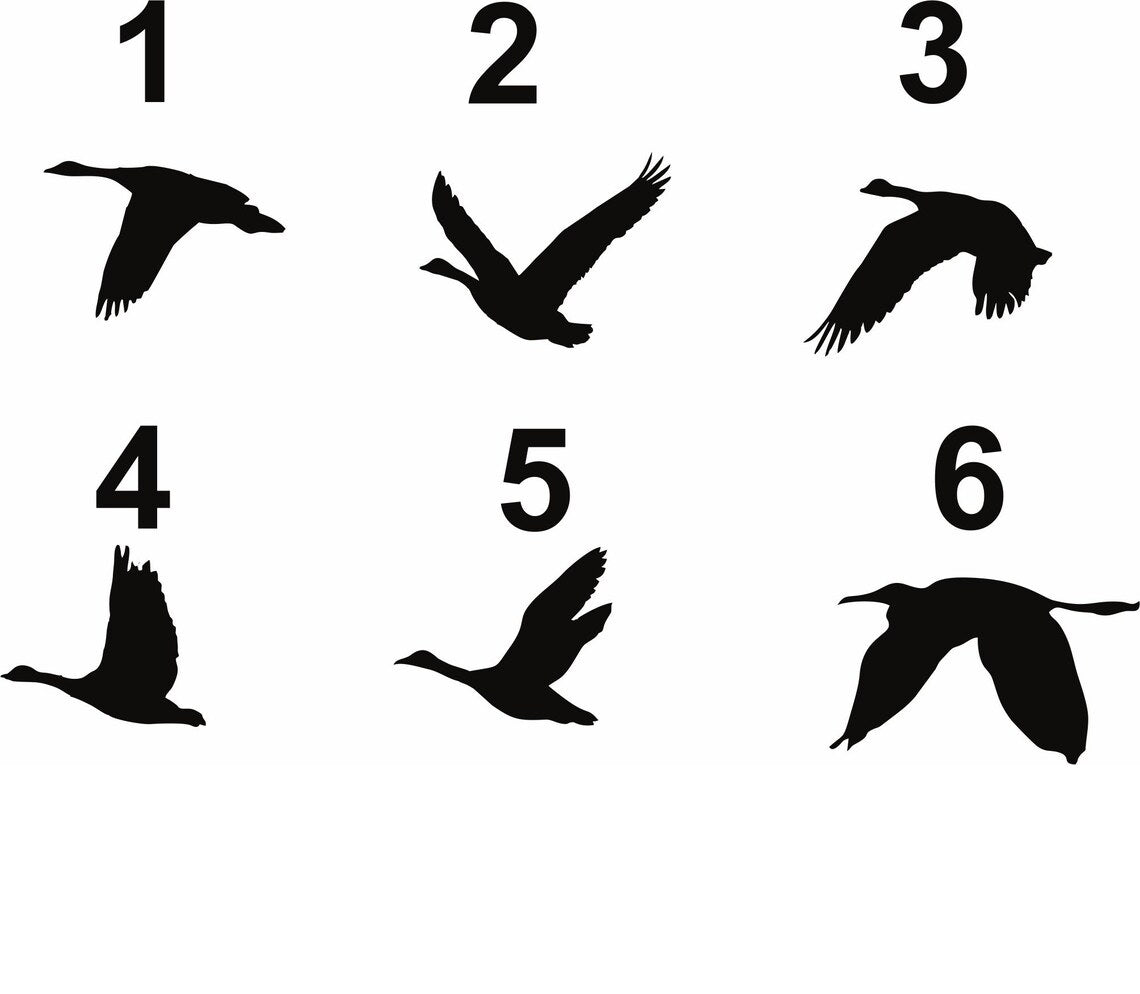 Metal Wall Art, Geese Birds Art